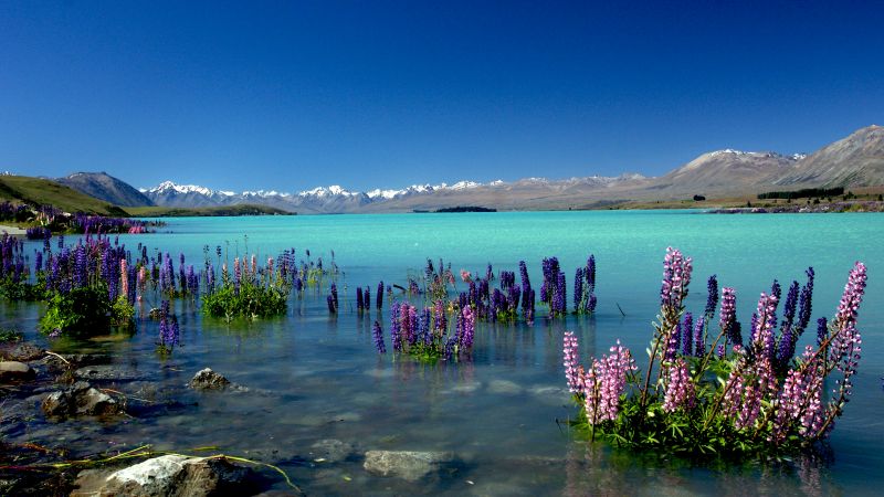 Lake Tekapo, New Zealand, mountains, 4k (horizontal)