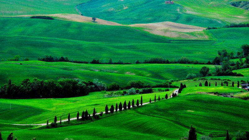 Tuscany, 4k, HD wallpaper, Italy, Meadows, hills, pines, trees (horizontal)