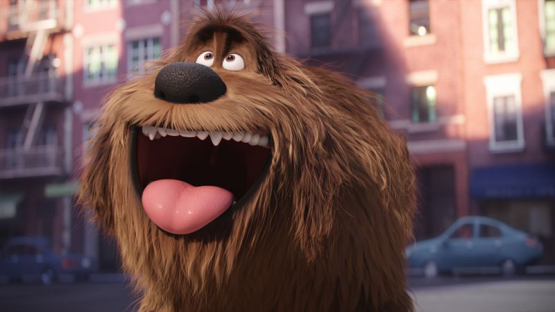 The Secret Life of Pets, duke, dog, Best Animation Movies of 2016, cartoon (horizontal)