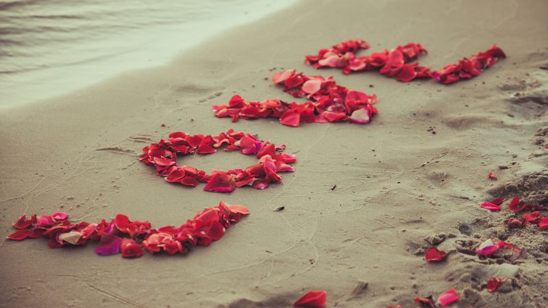 love image, heart, 5k, beach, sea, flowers (horizontal)