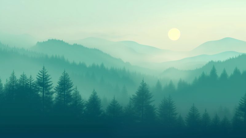 forest, mountain, fog, 5k (horizontal)