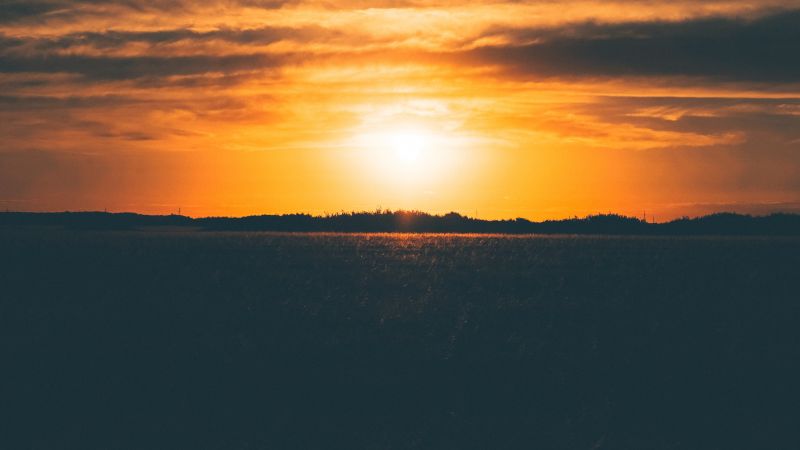 sunset, field, 5k (horizontal)