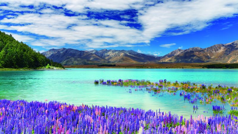 New Zealand, river, mountains, flowers, clouds, 4k (horizontal)