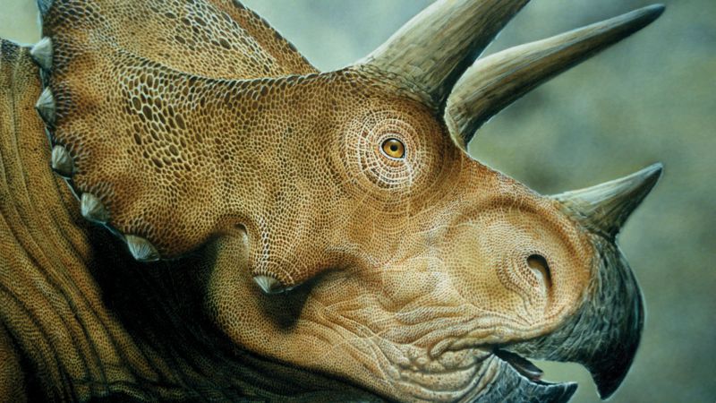 Triceratops, dinosaurs, Jurassic World, art (horizontal)