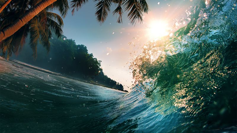 Wave, 5k, 4k wallpaper, 8k, ocean, palms, sun (horizontal)