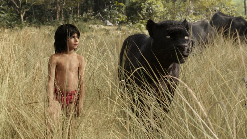 The Jungle Book, Mowgli, Bagheera, adventure, fantasy, Best movie of 2016 (horizontal)
