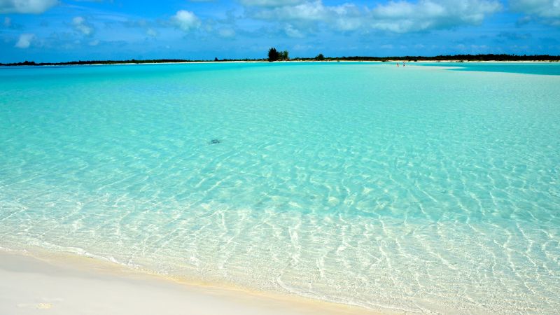 Playa Paraiso, Cayo Largo, Cuba, Best beaches of 2016, Travellers Choice Awards 2016 (horizontal)
