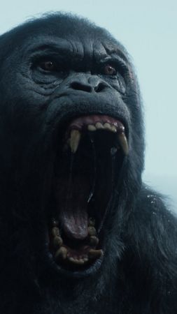 The Legend of Tarzan, gorilla, best movies 2016 (vertical)