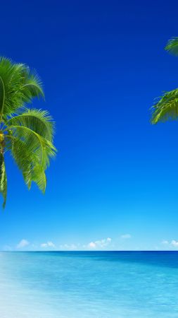 tropical beach, 5k, 4k wallpaper, 8k, paradise, palms, sea, blue (vertical)