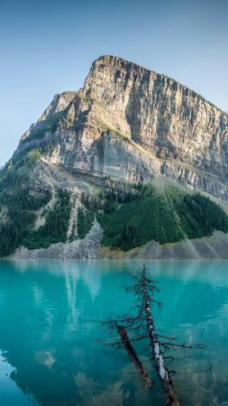 Lake Louise, 4k, HD wallpaper, Сanada, travel, mountain (vertical)