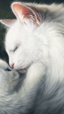 love image, cats, HD (vertical)