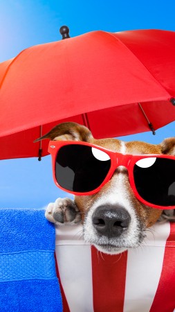 Dog, puppy, sun, summer, beach, sunglasses, umbrella, vacation, animal, pet, sky (vertical)