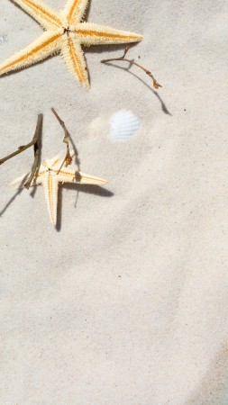beach, starfish, shell, sand, 8k (vertical)