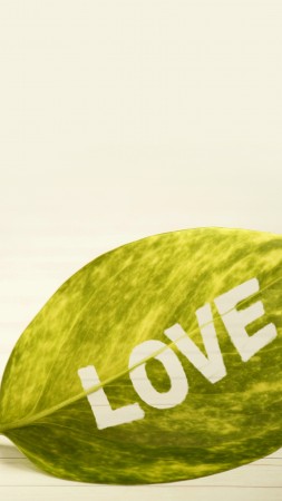 love image, leaf, 4k (vertical)