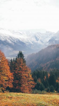 Oberstdorf, Germany, mountains, autumn, forest, 4k (vertical)