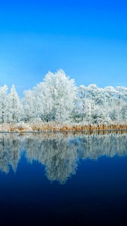 lake, forest, snow, winter, 5k (vertical)