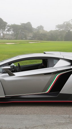 Lamborghini Veneno, supercar, Lamborghini, sports car, limited edition, speed, side (vertical)
