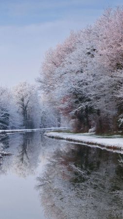 river, winter, forest, snow, trees, 5K (vertical)