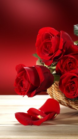 Roses, 5k, 4k wallpaper, Flower bouquet, red (vertical)