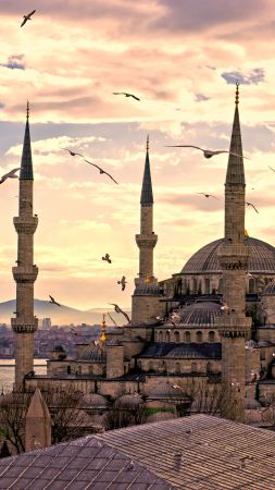 Sultan Ahmed Mosque, Istanbul, Turkey, Travel, Tourism (vertical)