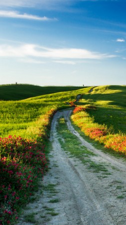 Tuscany, 4k, HD wallpaper, Italy, Meadows, road, wildflowers, sky (vertical)