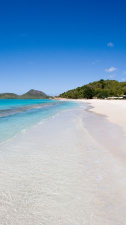 Hermitage bay, 5k, 4k wallpaper, 8k, Antigua, Barbuda, Best Beaches in the World, shore, sky, Caribbean sea (vertical)