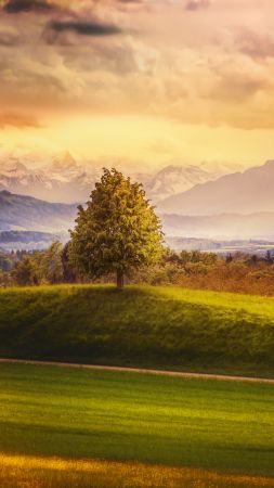 Switzerland, 4k, 5k wallpaper, 8k, Alps, mountains, meadows, trees (vertical)