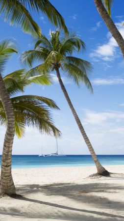 Jamaika, 5k, 4k wallpaper, The Caribbean, beach, palms, sky, travel, tourism (vertical)