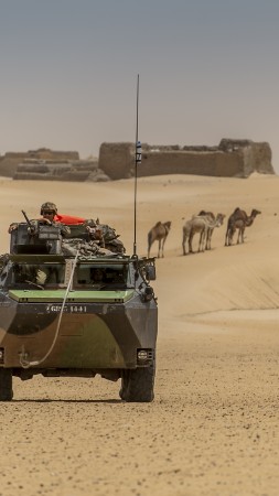Operation Serval, Mali, French Armed Forces (vertical)