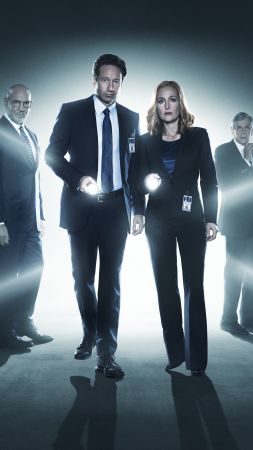 The X-Files, David Duchovny, Best TV series, detective (vertical)