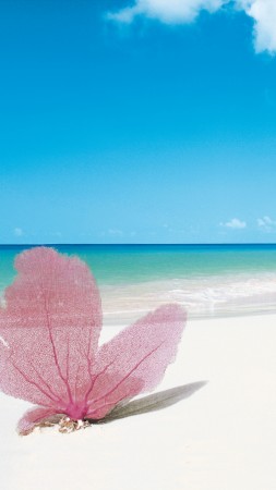 Playa Paraiso, Cayo Largo, Cuba, Best beaches of 2016, Travellers Choice Awards 2016 (vertical)