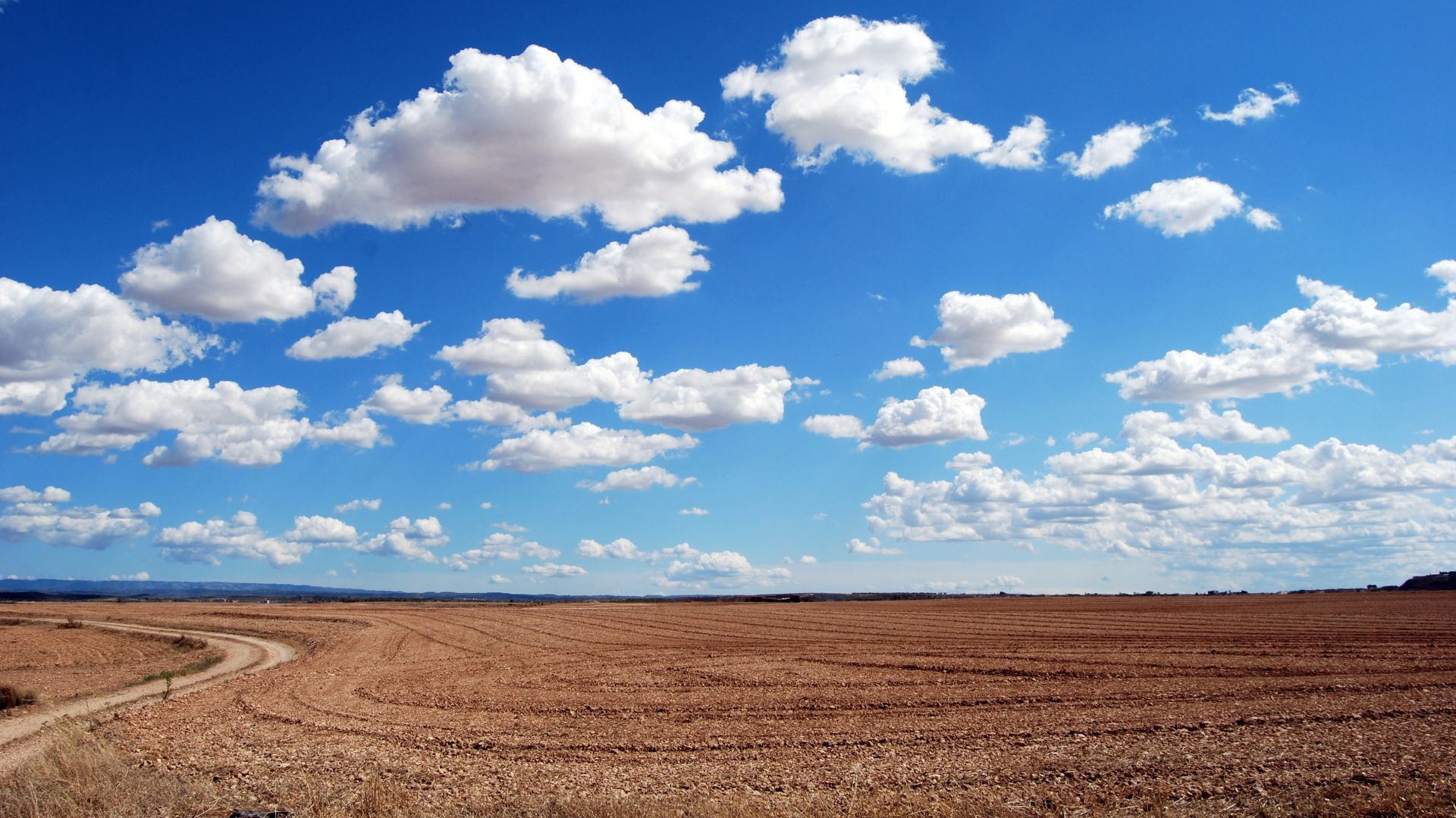 clouds, sky, field, 4k (horizontal)