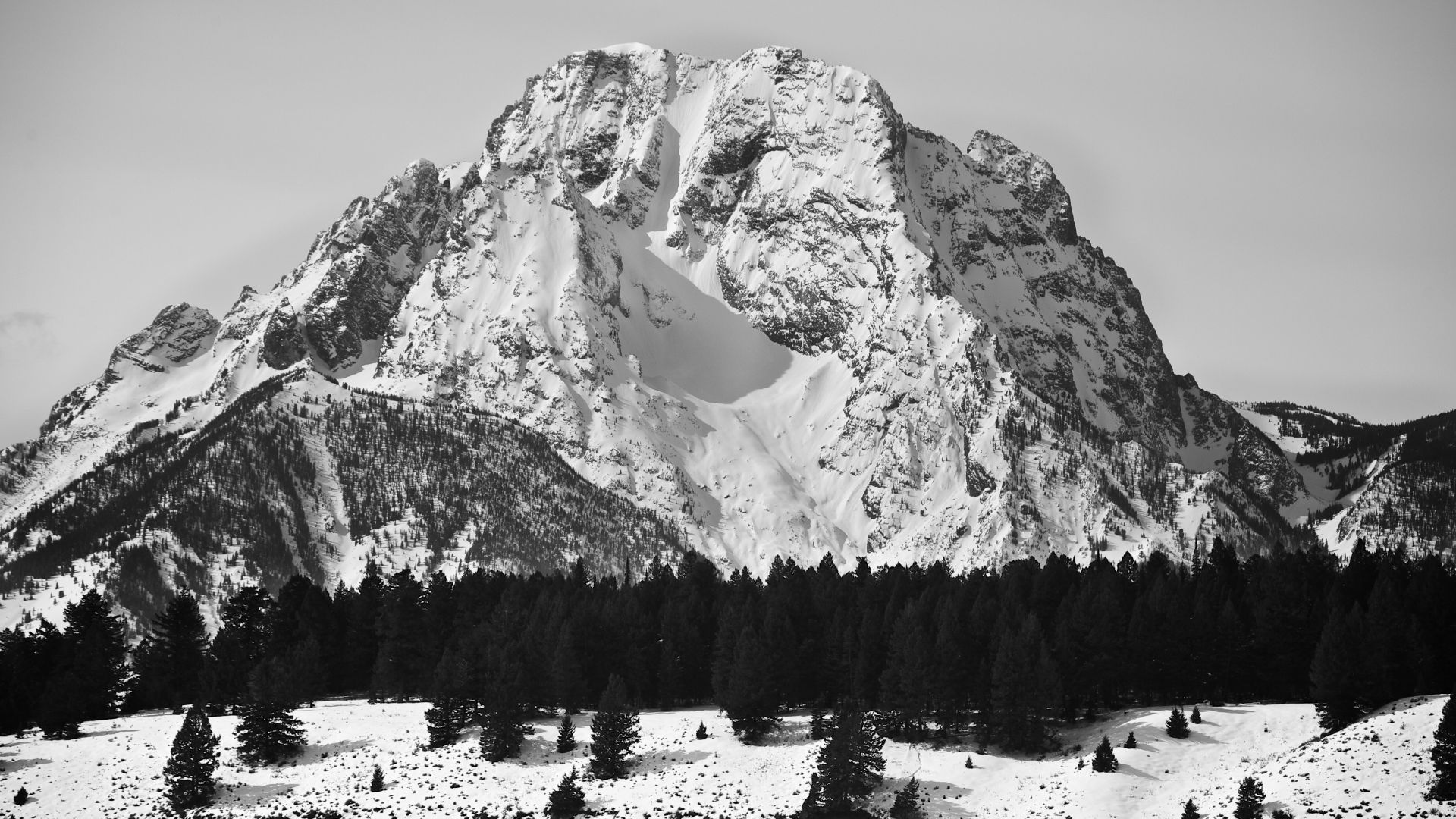 Mount Moran, 5k, 4k wallpaper, USA, Mountains, pines, snow (horizontal)