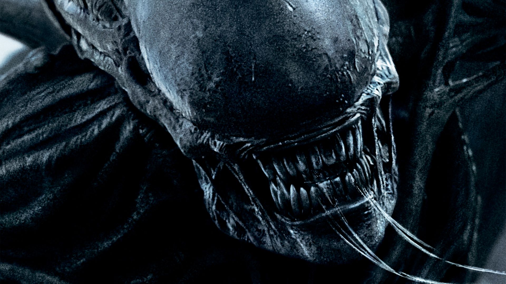 Wallpaper Alien: Covenant, 4k, HD, alien, monster, best movies, Movies