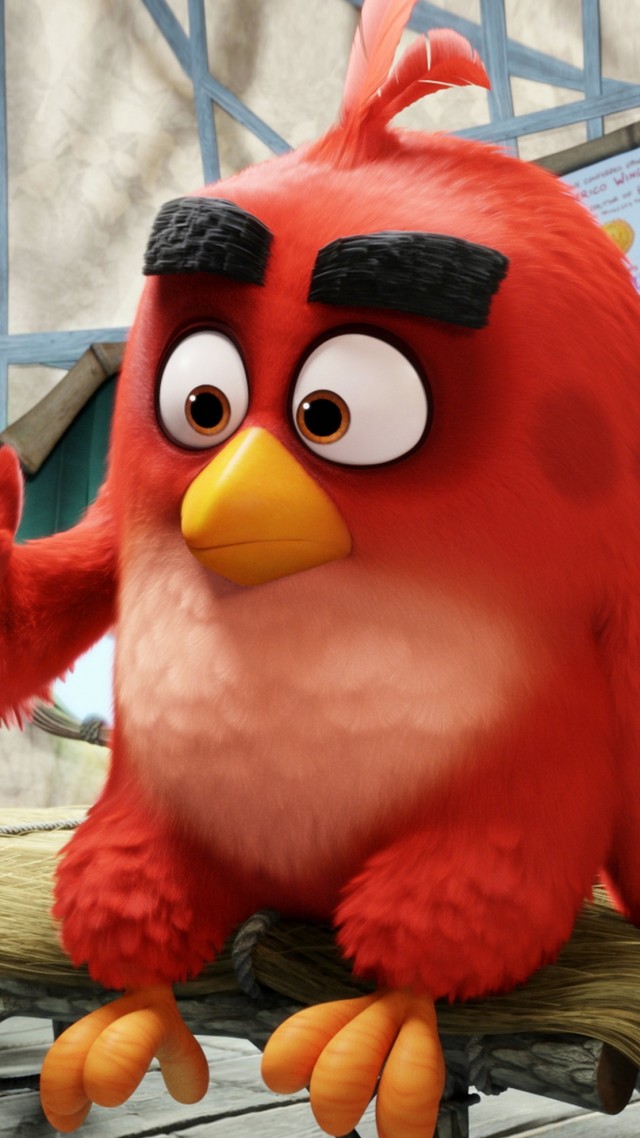 Wallpaper Angry Birds Movie, red, Best Animation Movies of 2016, Movies