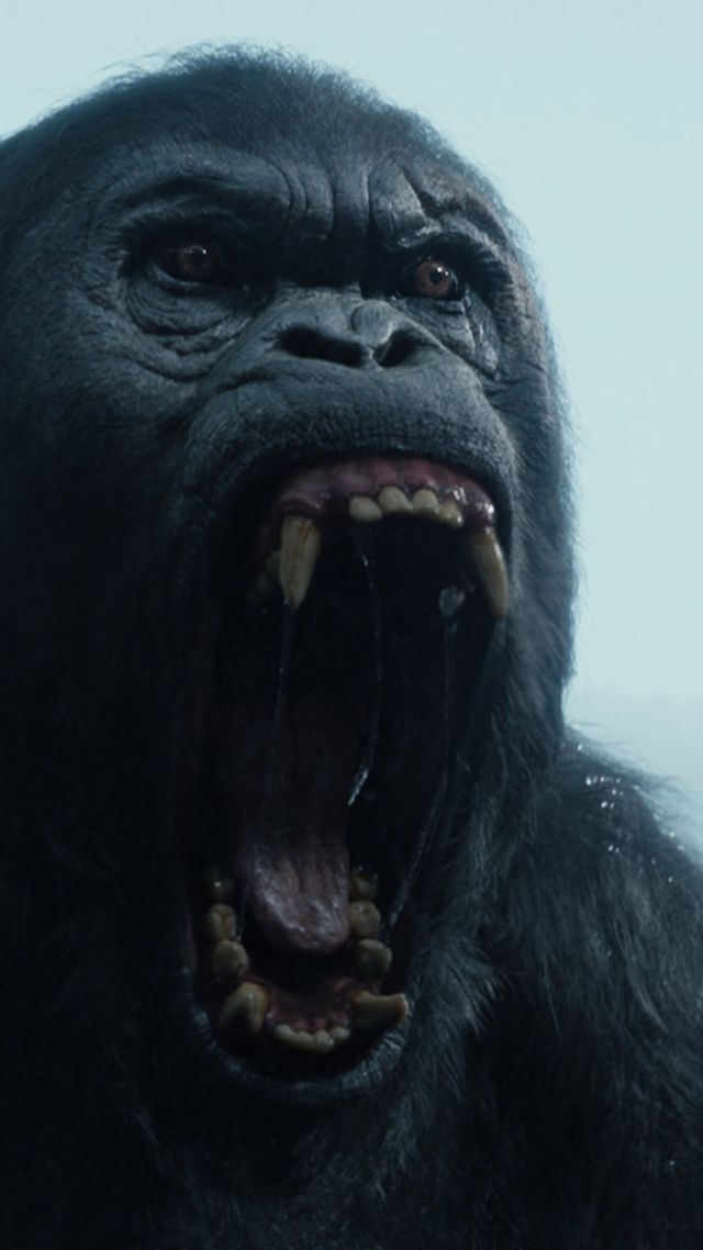 wallpaper  legend  tarzan gorilla  movies  movies