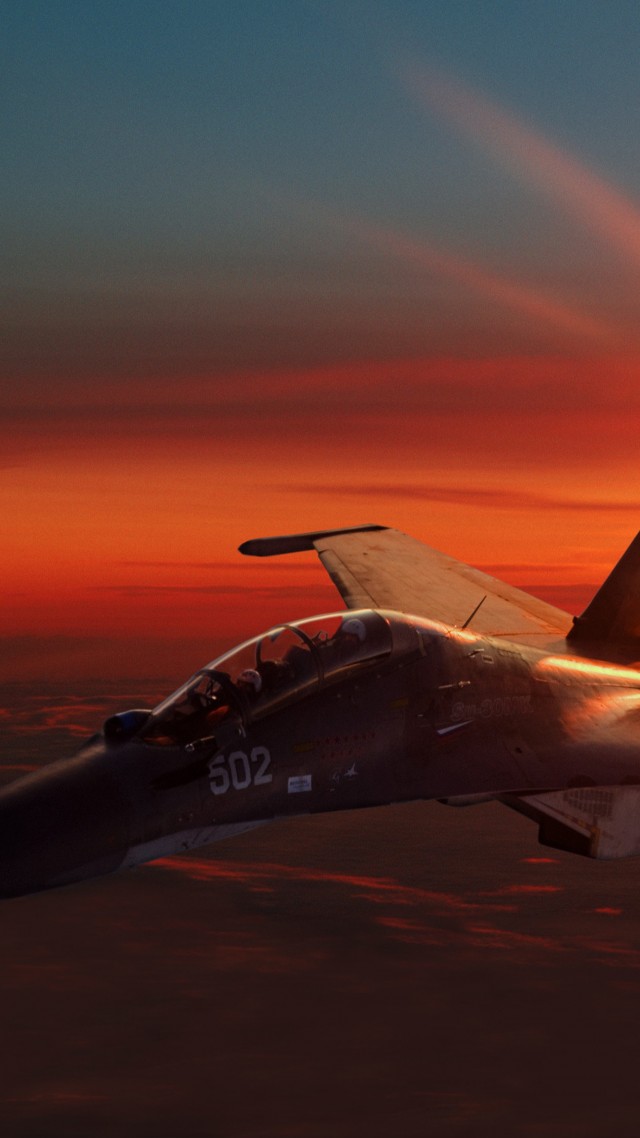 Sukhoi Su-30, fighter aircraft, sunset (vertical)