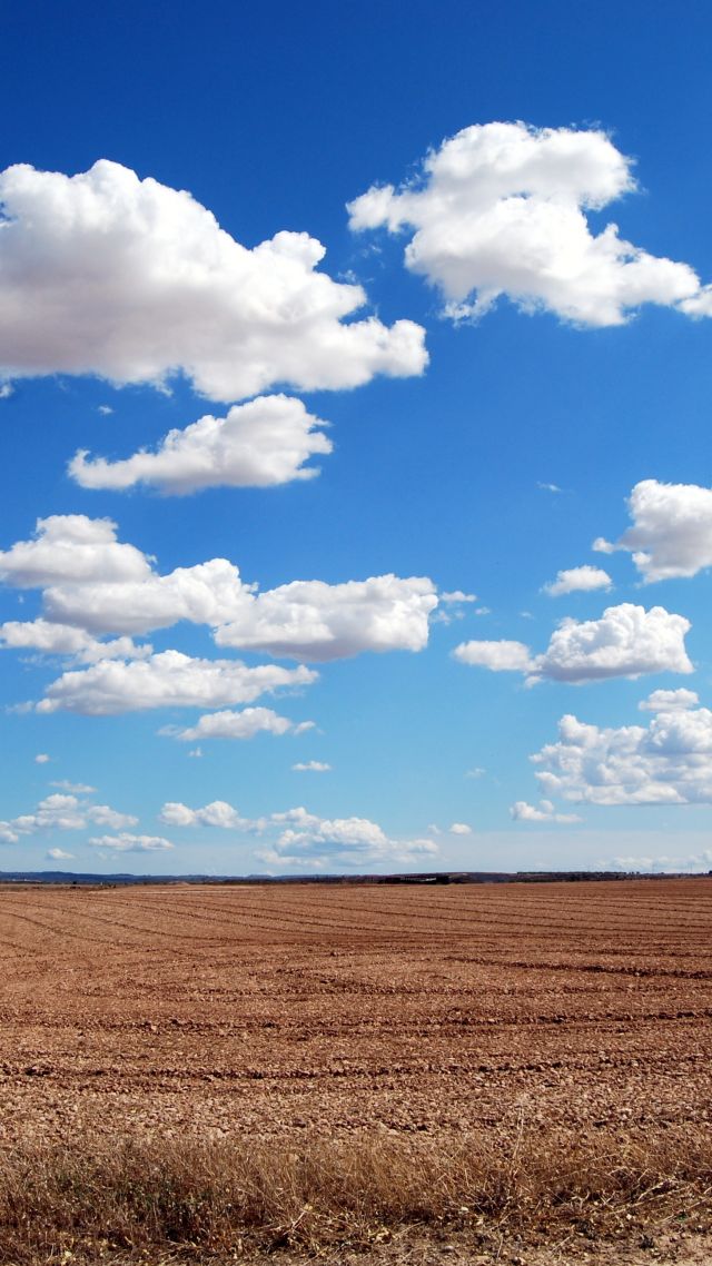 clouds, sky, field, 4k (vertical)