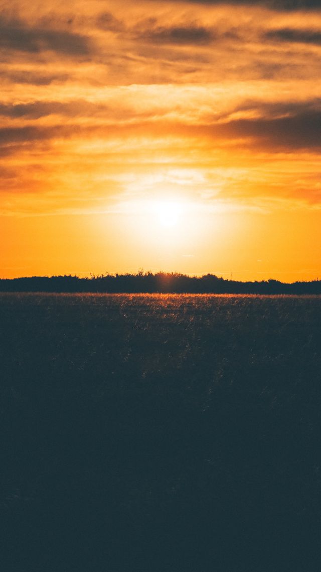sunset, field, 5k (vertical)
