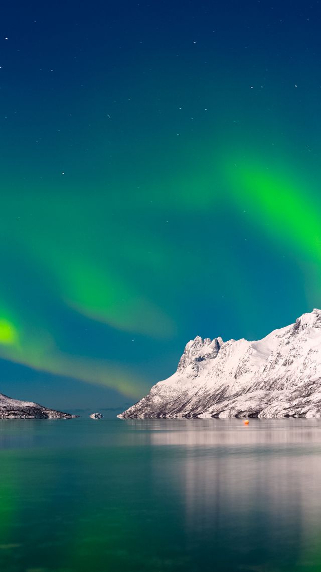 Aurora Borealis, sky, winter, mountains, lake, 4k (vertical)