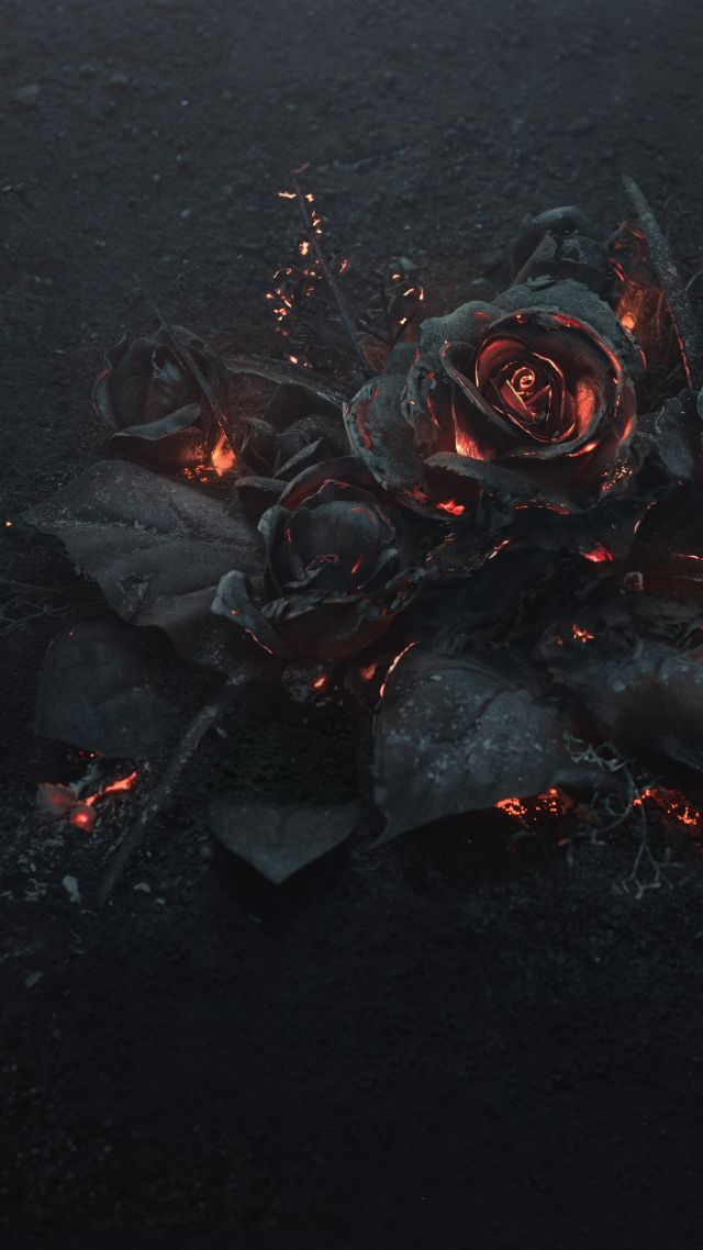 rose, dark, 5K (vertical)