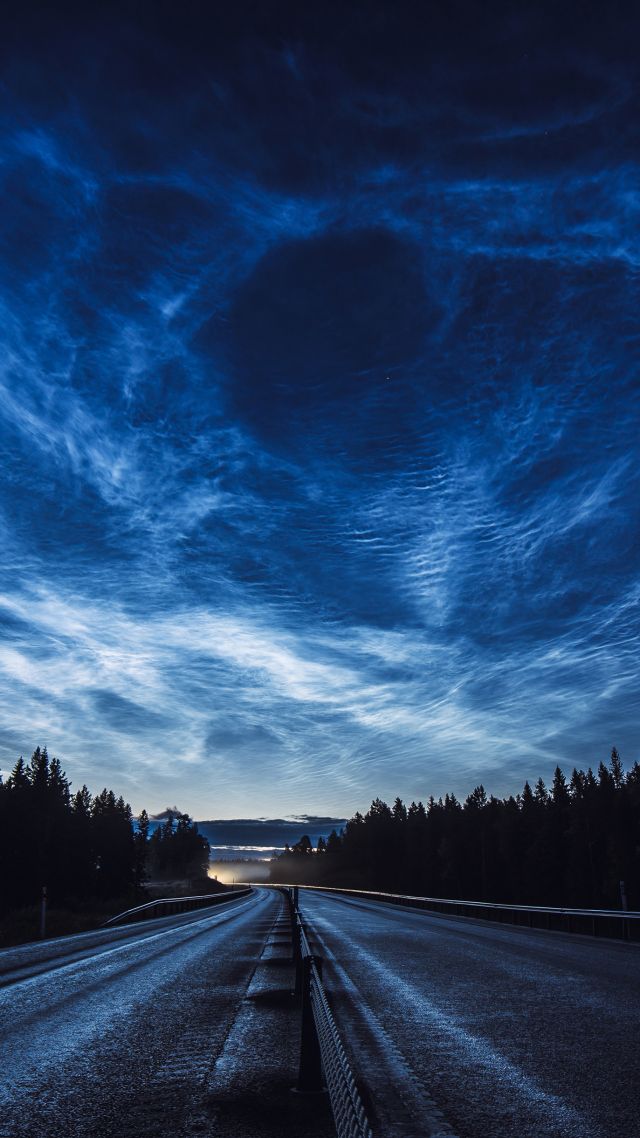 road, night, forest, sky, 4K (vertical)