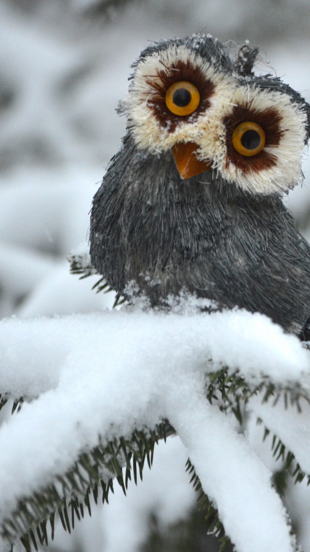 Owl, pines, snow, cute animals, funny (vertical)