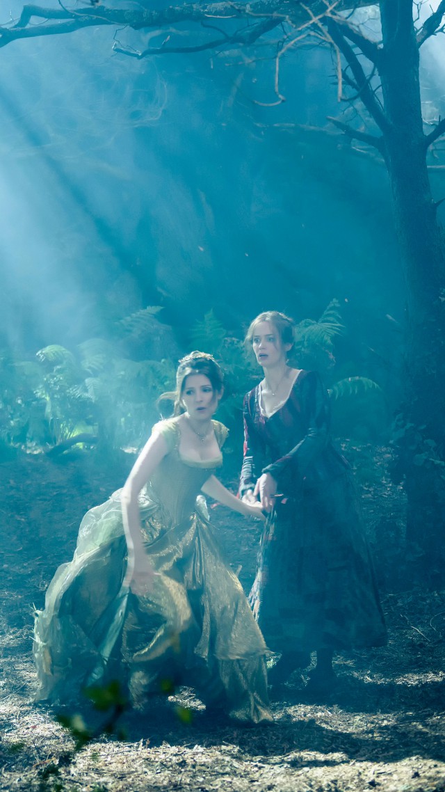 Into the woods, Best Movies of 2015, movie, fairy tale, fantasy, Anna Kendrick (vertical)