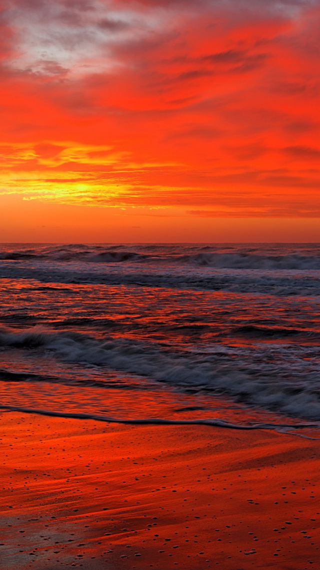 Ocean, 5k, 4k wallpaper, sea, sunset, shore, beach (vertical)