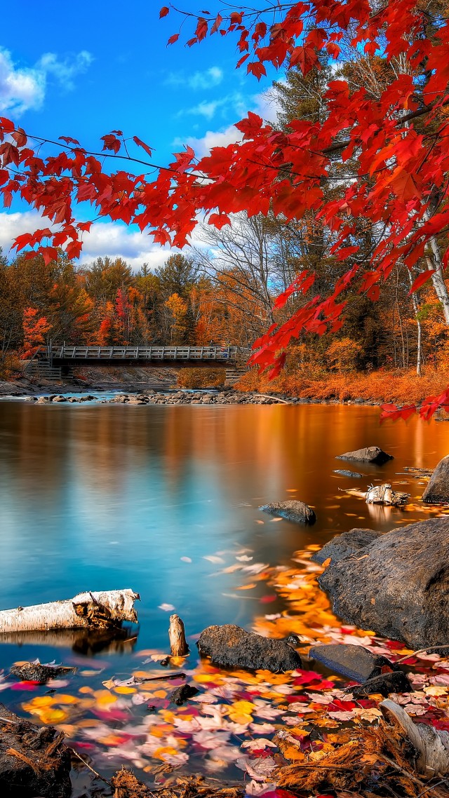autumn forest, 4k, HD wallpaper, leaves, trees, lake, rocks, beach, bridge, sky, clouds (vertical)