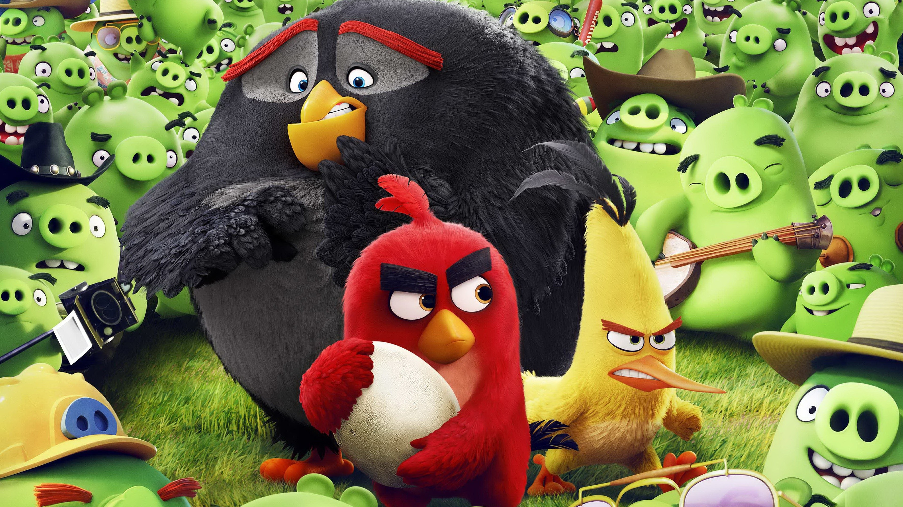 Wallpaper Angry Birds Movie, chuck, red, bomb, Best ...