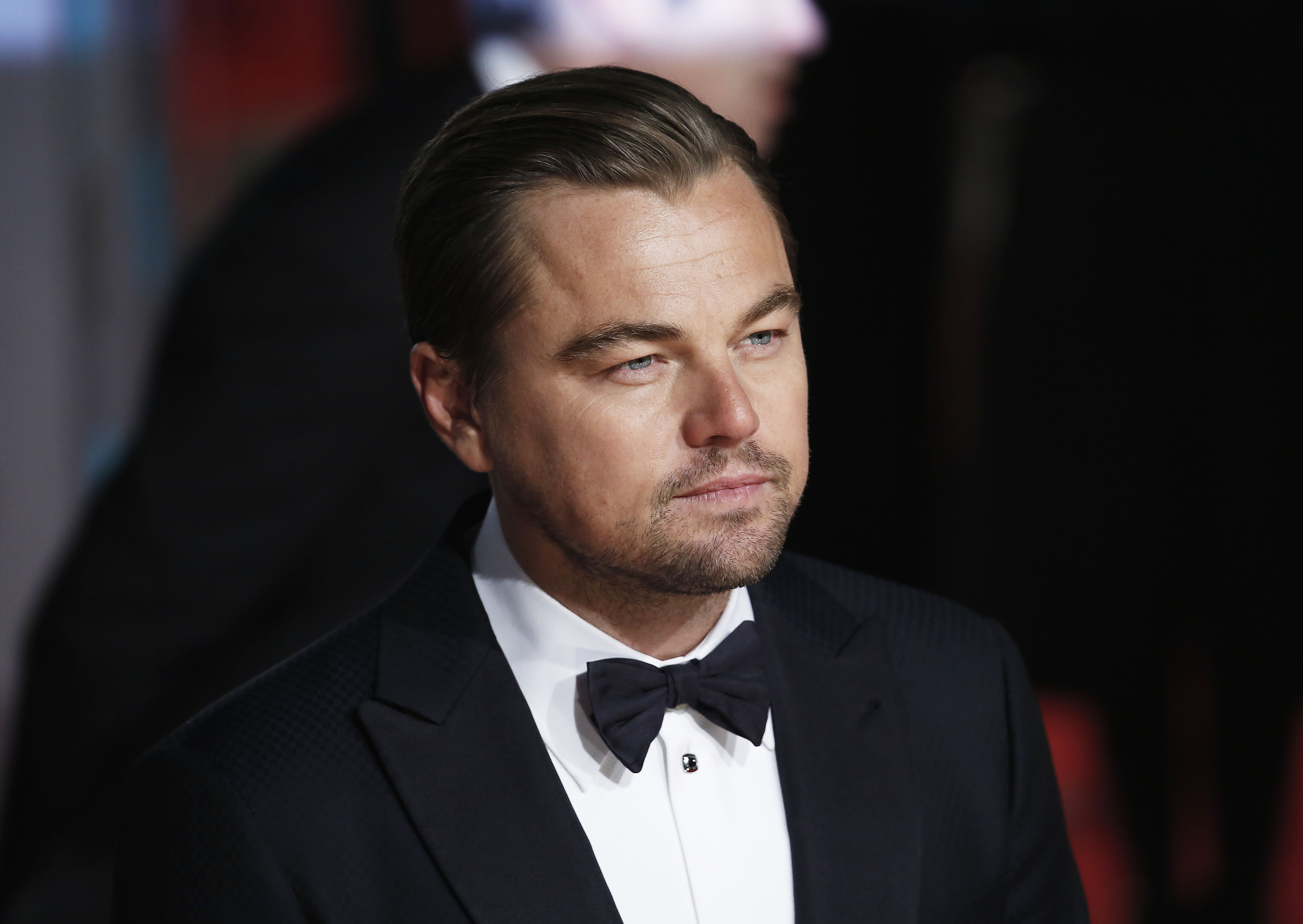 Wallpaper Leonardo DiCaprio, Oscar 2016, Oscar, Most popular celebs, actor ...5032 x 3568