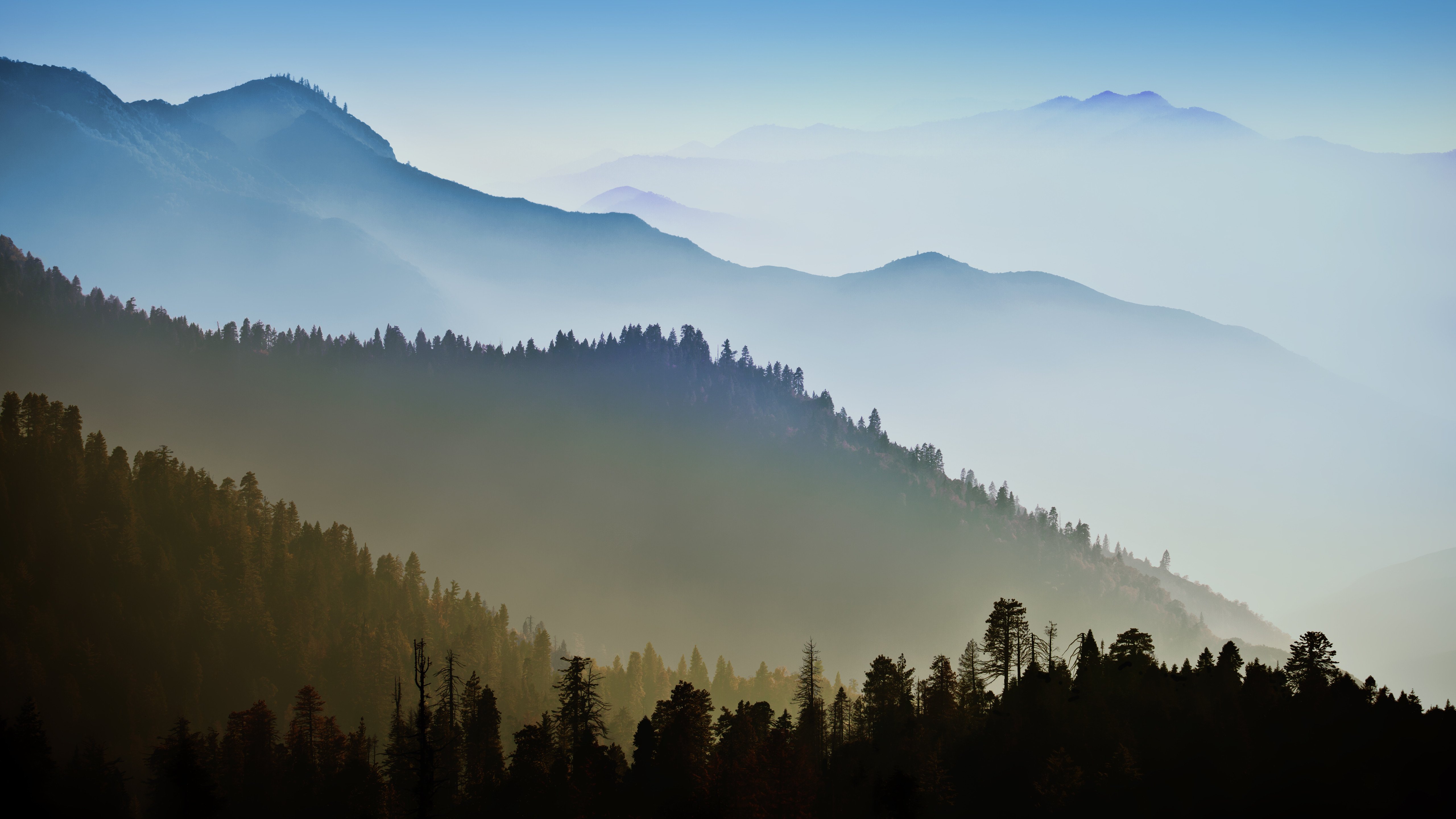 yosemite-5120x2880-5k-wallpapers-forest-