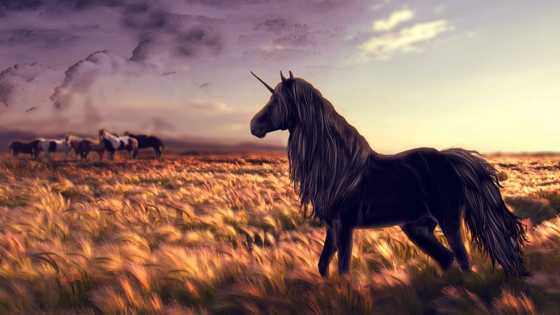 unicorn, horse, nature, black (horizontal)